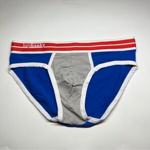 Men’s Briefs in Blue & Gray Hey Franky